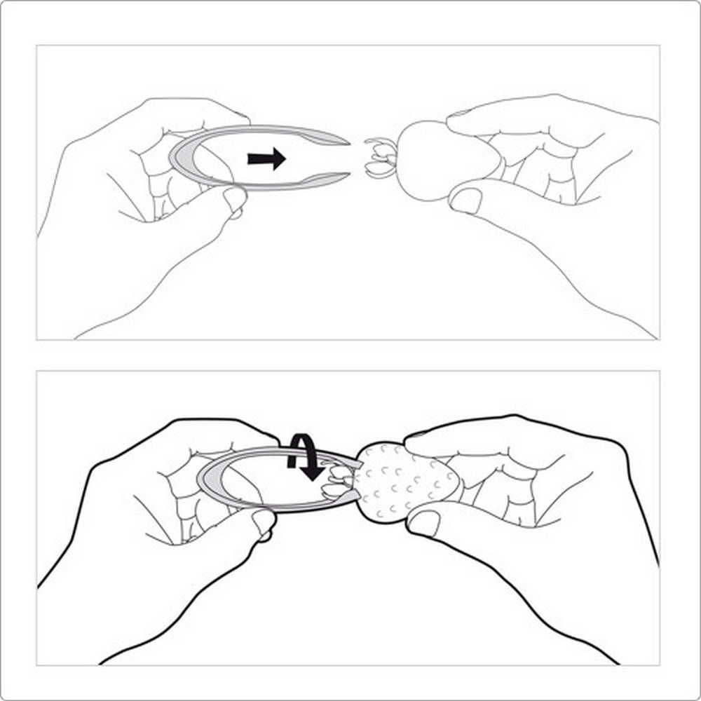 TESCOMA Presto草莓去蒂夾 | 去蒂工具 去蒂器
