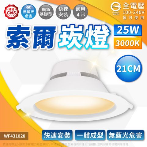 DanceLight 舞光 (2入) LED-21DOP25W 25W 3000K 黃光 全電壓 20.5cm 索爾崁燈 _ WF431028