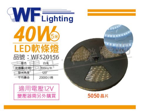 舞光 LED-50WO12V-D 5050 40W 12V 正白光 白光 5米 防水軟條燈_WF520156