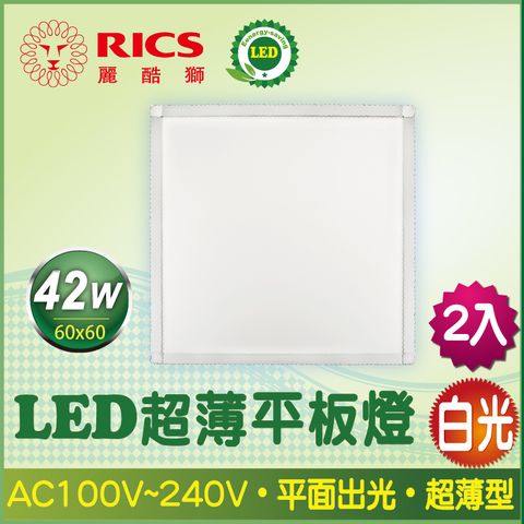 RICS 麗酷獅 42W LED超薄平板燈/白光 (2入)