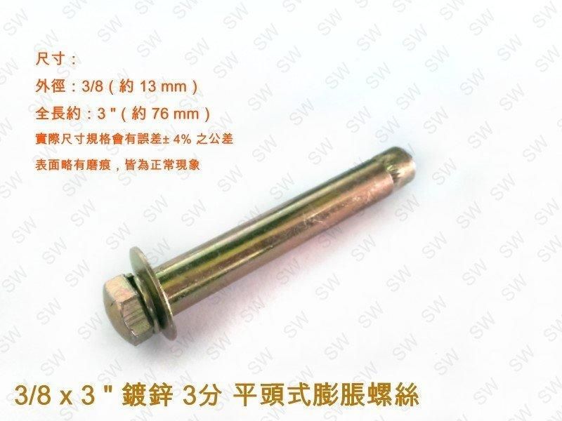 【掛軸】虎 猛虎 三頭 四驅車製作】#10 鷹羽龍二代新三角箭ZMC 碳纖維強化版爆走兄弟