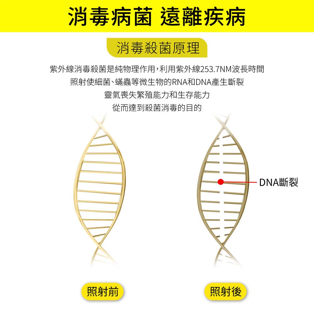 消毒病菌 遠離疾病消毒殺菌原理紫外線消毒殺菌是純物理作用,利用紫外線253.7NM波長時間照射使細菌、蟎蟲等微生物的RNA和DNA產生斷裂靈氣喪失繁殖能力和生存能力從而達到殺菌消毒的目的照射前照射後斷裂
