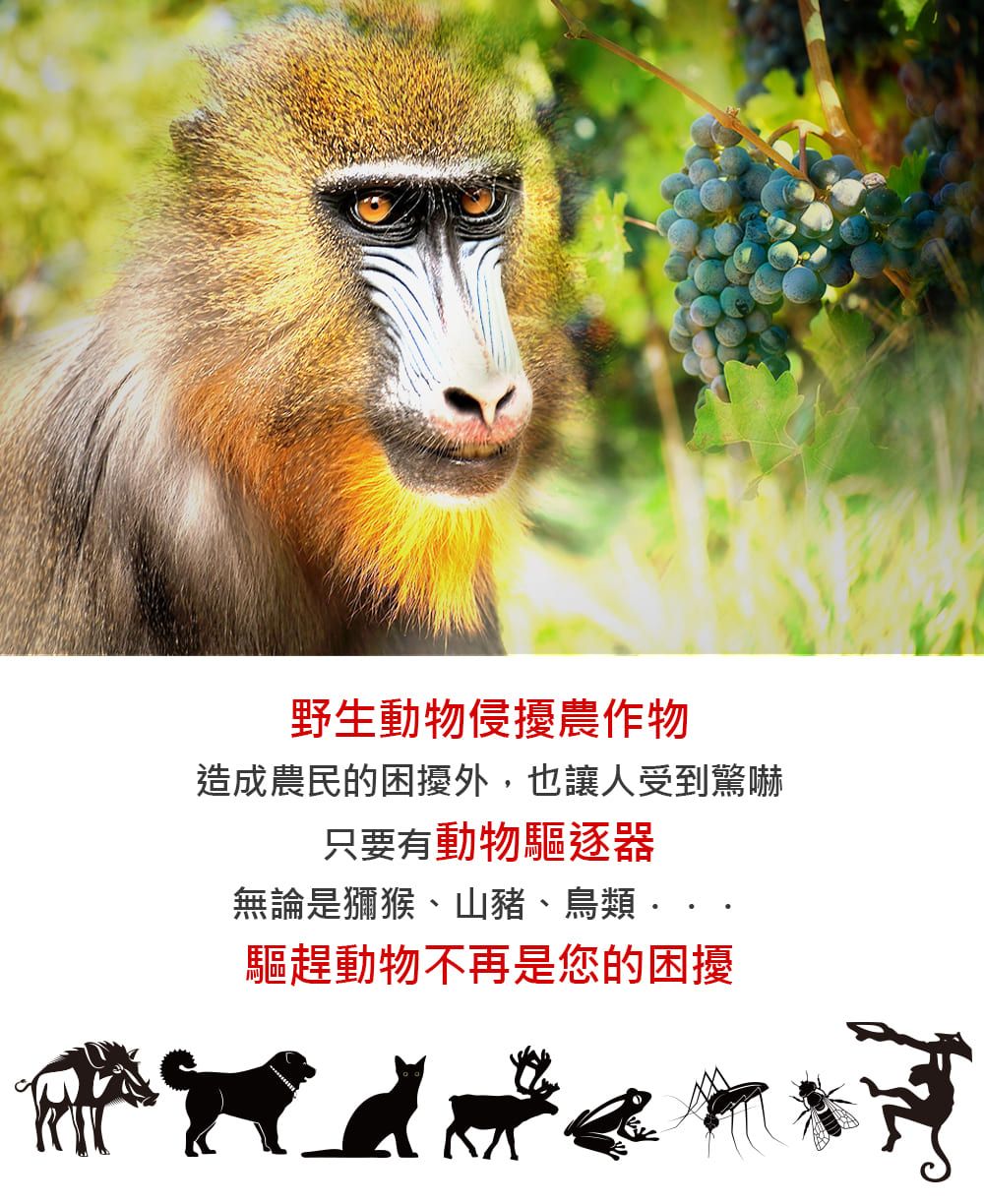 野生動物侵擾農作物造成農民的困擾外,也讓人受到驚嚇只要有動物驅逐器無論是獼猴、山豬、鳥類、驅趕動物不再是您的困擾