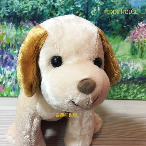 泰迪熊TEDDY BEAR可愛胖胖狗超柔軟~讚~給寶寶最佳玩伴