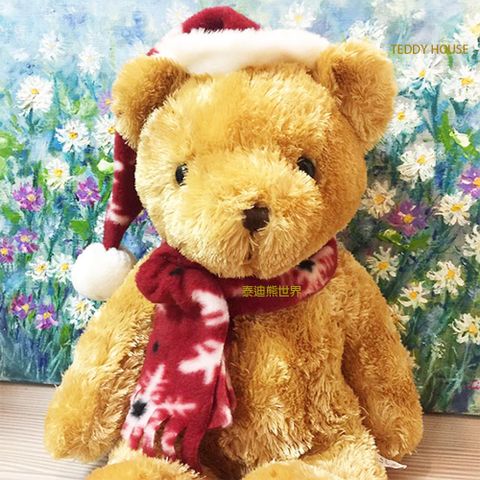 泰迪熊 【TEDDY HOUSE】玩具禮贈品玩偶公仔絨毛娃娃聖誕附許願卡~