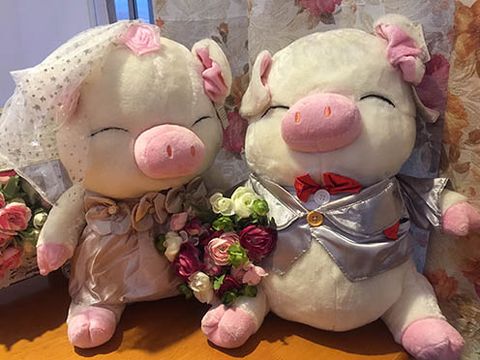 【TEDDY HOUSE泰迪熊】泰迪熊玩具禮贈品玩偶公仔絨毛娃娃胖胖幸福婚禮對豬(對) 附許願卡泰迪熊