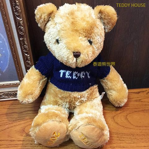 【TEDDY HOUSE泰迪熊】泰迪熊玩具玩偶公仔絨毛娃娃毛衣軟毛泰迪熊(大)許願熊，附許願卡。心想事成，好運陪伴相隨