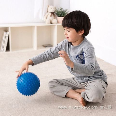 Weplay Weplay身體潛能開發系列【創意互動】觸覺球(15cm) ATG-KT3305