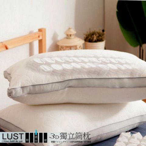 LUST 3D獨立筒枕/Q彈柔軟  /五星級羽絲絨 /台灣生產