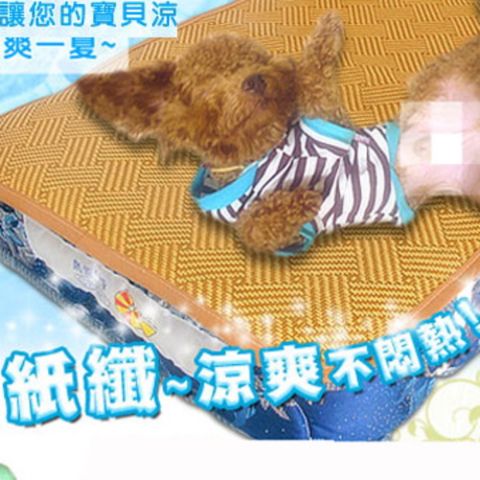 【凱蕾絲帝】台灣製造~夏日寵物專用~涼蓆獨立筒彈簧床墊組(中) 含紙纖涼蓆
