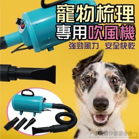 寵物吹風機 [台灣品牌伊德萊斯] AH-33 寵物吹水機 變頻吹風機 貓咪狗狗 大型犬快速吹乾寵物 加熱暖