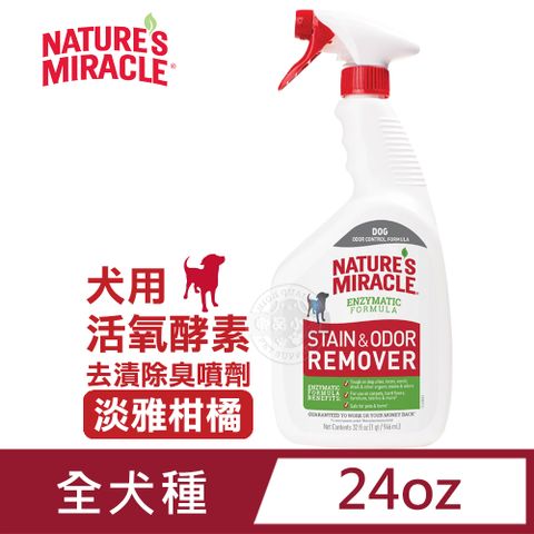 8in1 美國自然奇蹟-活氧酵素去漬除臭噴劑(淡雅柑橘)/24oz/709ml 清潔 去異味 送贈品