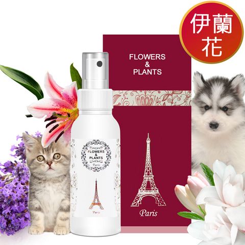 Flowers&Plants 愛戀花草 伊蘭花精油-護色瑩彩寵物順毛香水 250ML