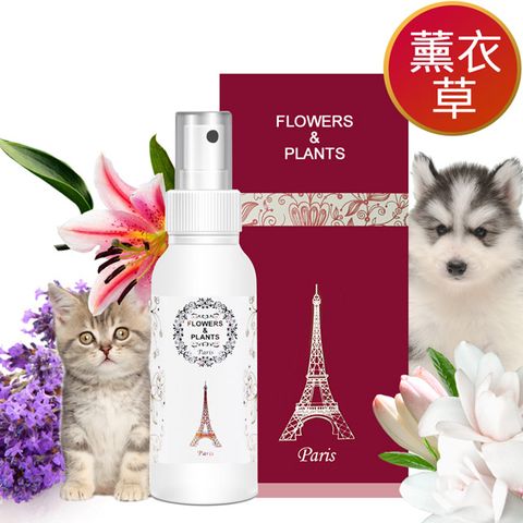 Flowers&Plants 愛戀花草 薰衣草精油-白毛亮澤寵物順毛香水 250ML