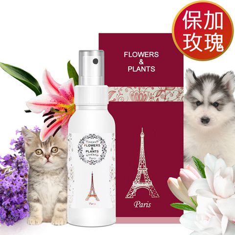 【愛戀花草】玫瑰精油-白毛亮澤寵物順毛香水 250MLx3