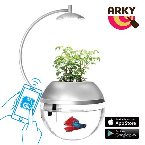 ARKY 香草與魚X智能版Herb&Fish X Connect - 京都銀限量版