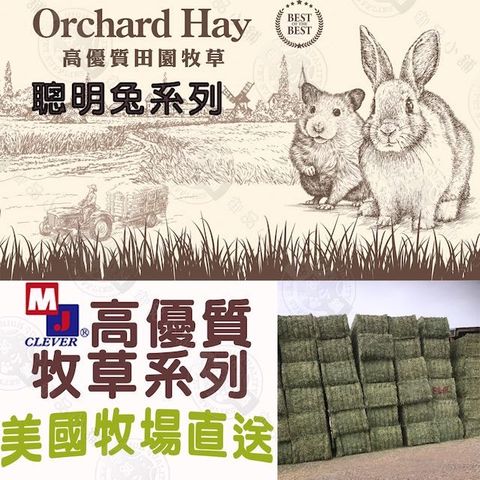 MJ 萌洲 聰明兔 高優質 牧草系列 提摩西草/甜燕麥草/苜蓿草/果園草 2.7磅/盒 兔子牧草 寵物牧草