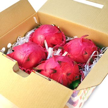 【南紡購物中心】 【鮮果日誌】紅肉 紅龍果/火龍果 (4入禮盒裝)