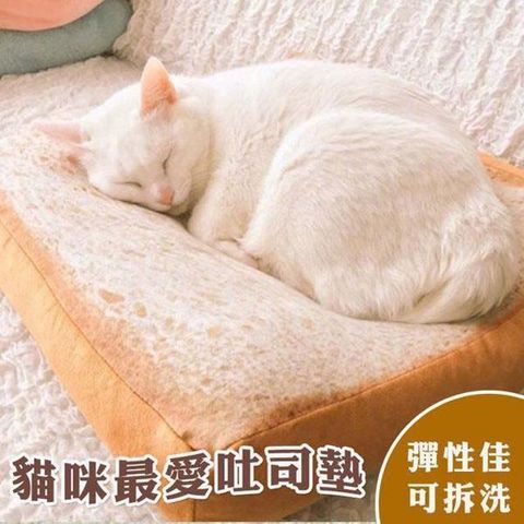 【南紡購物中心】 貓咪最愛吐司墊 土司坐墊 靠墊 仿真麵包墊子