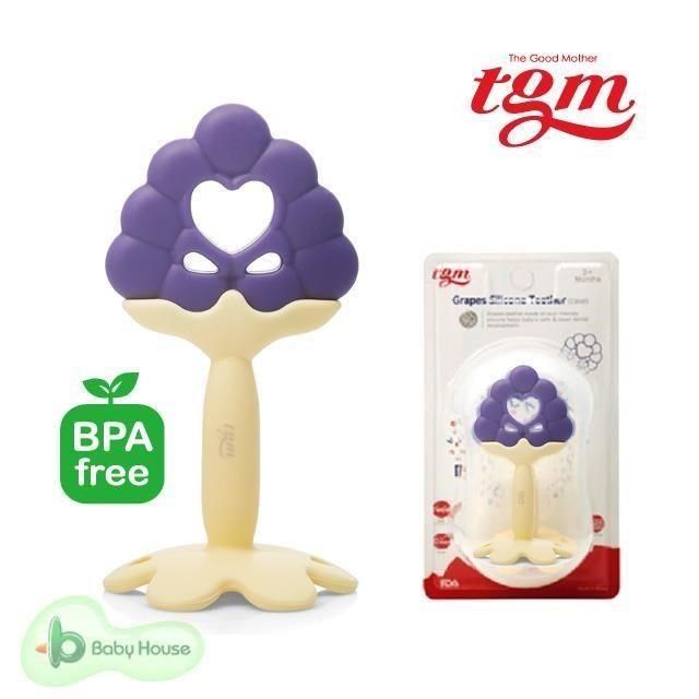 TgmFDA 【南紡購物中心】 Tgm 水果矽膠咬牙固齒器3M+ (附收納盒)-葡萄