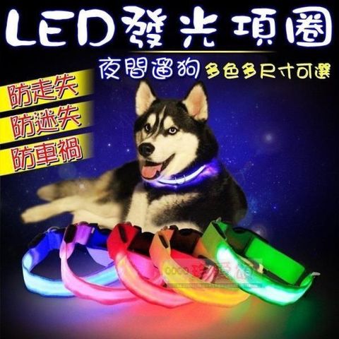 【南紡購物中心】 LED發光寵物項圈 