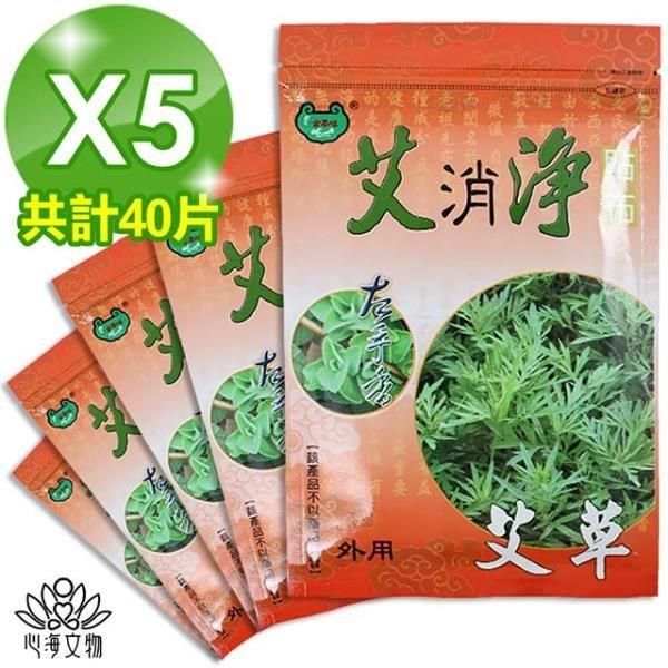 心海文物 【南紡購物中心】 艾草清涼貼布5包40片(SH-0011)