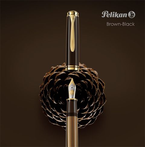 Pelikan 百利金 2019款 M-800 棕色條紋 限量筆款18k 鋼筆