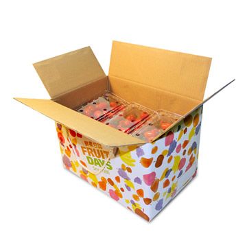 鮮果日誌 【南紡購物中心】 玉女小番茄 6盒裝