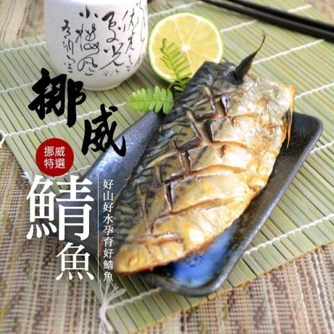 大口市集 【南紡購物中心】 -挪威薄鹽鯖魚片(170g5%/片) 