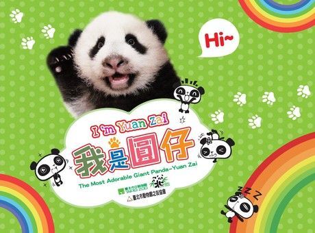 我是圓仔（電子書）