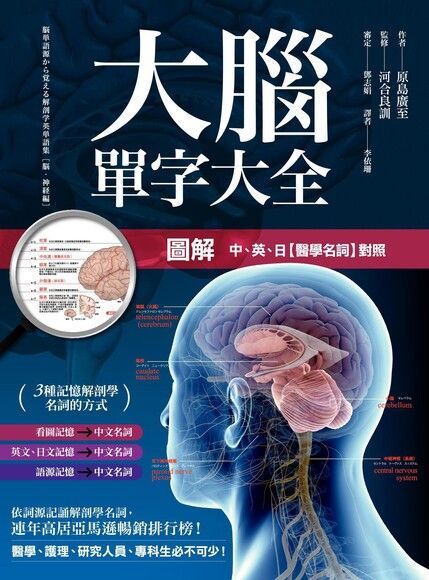 Readmoo 讀墨 圖解 大腦單字大全（讀墨電子書）