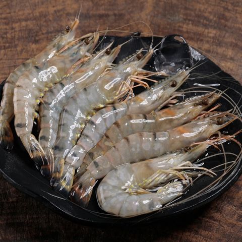 華得水產 天然草蝦16盒組(250g/8尾/盒)