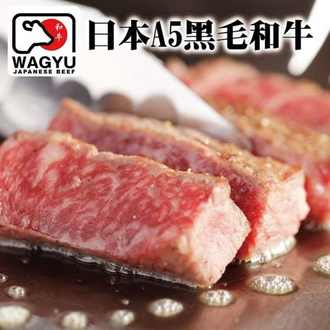 【海肉管家】頂級A5日本黑毛和牛菲力牛排(1片/每片150g±10%)