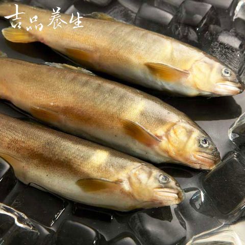 吉品養生 安心水產_香魚抱卵(360g/3-4尾)