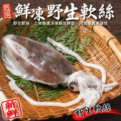 海肉管家 【滿777免運】鮮凍野生軟絲(1隻_200~300g/隻)