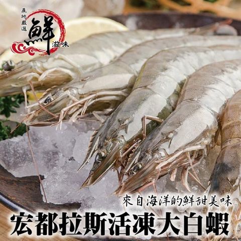 海肉管家 【滿777免運-】宏都拉斯活凍白蝦 x1盒(48~56隻/約1Kg10%)