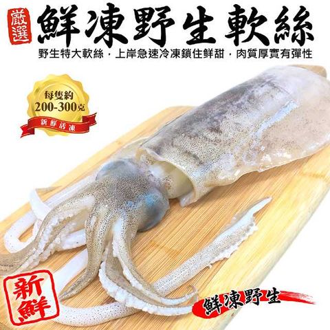【海肉管家】鮮凍野生軟絲(4隻/每隻約200~300g±10%)