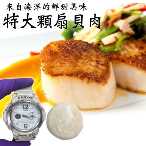 【海肉管家】新鮮海味圓扇貝肉(4包/每包約550g±10%)