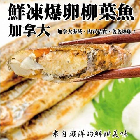 海肉管家 加拿大鮮凍爆卵柳葉魚x12包(每包9-13隻/約200g10%)