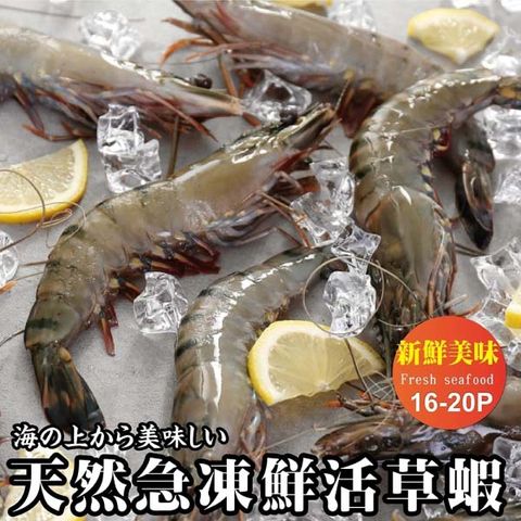 【買1送1-海肉管家】新鮮活凍草蝦 共2盒(每盒16~20隻/約300g±10%)