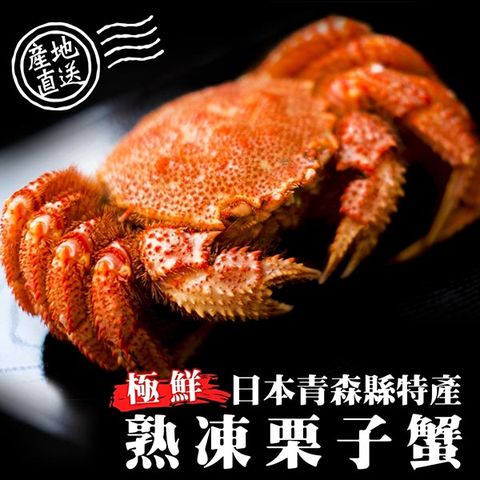 海肉管家 【買1送1】日本熟凍栗子母蟹(共2隻_150~180g/隻)