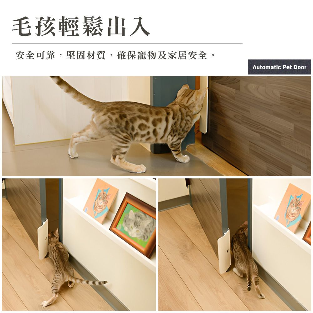 毛孩輕鬆出入安全可靠,堅固材質,確保寵物及家居安全。Automatic Pet Door