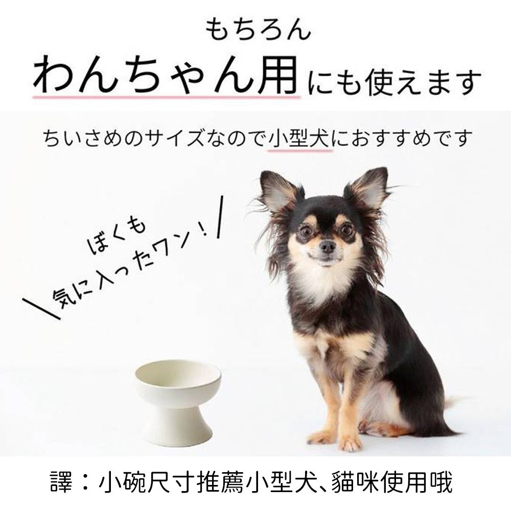 もちろんわんちゃん用にも使えますちいさめのサイズなので小型犬におすすめですぼくも気に入ったワン!/譯:小碗尺寸推薦小型犬、猫咪使用